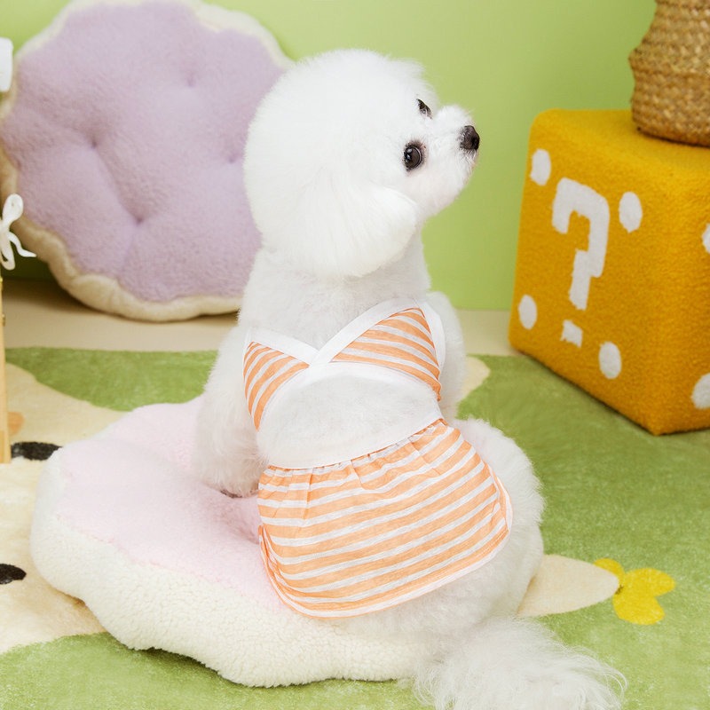Conjunto de baño para mascotas - Vestimenta de playa para perros y animales — imagen 4