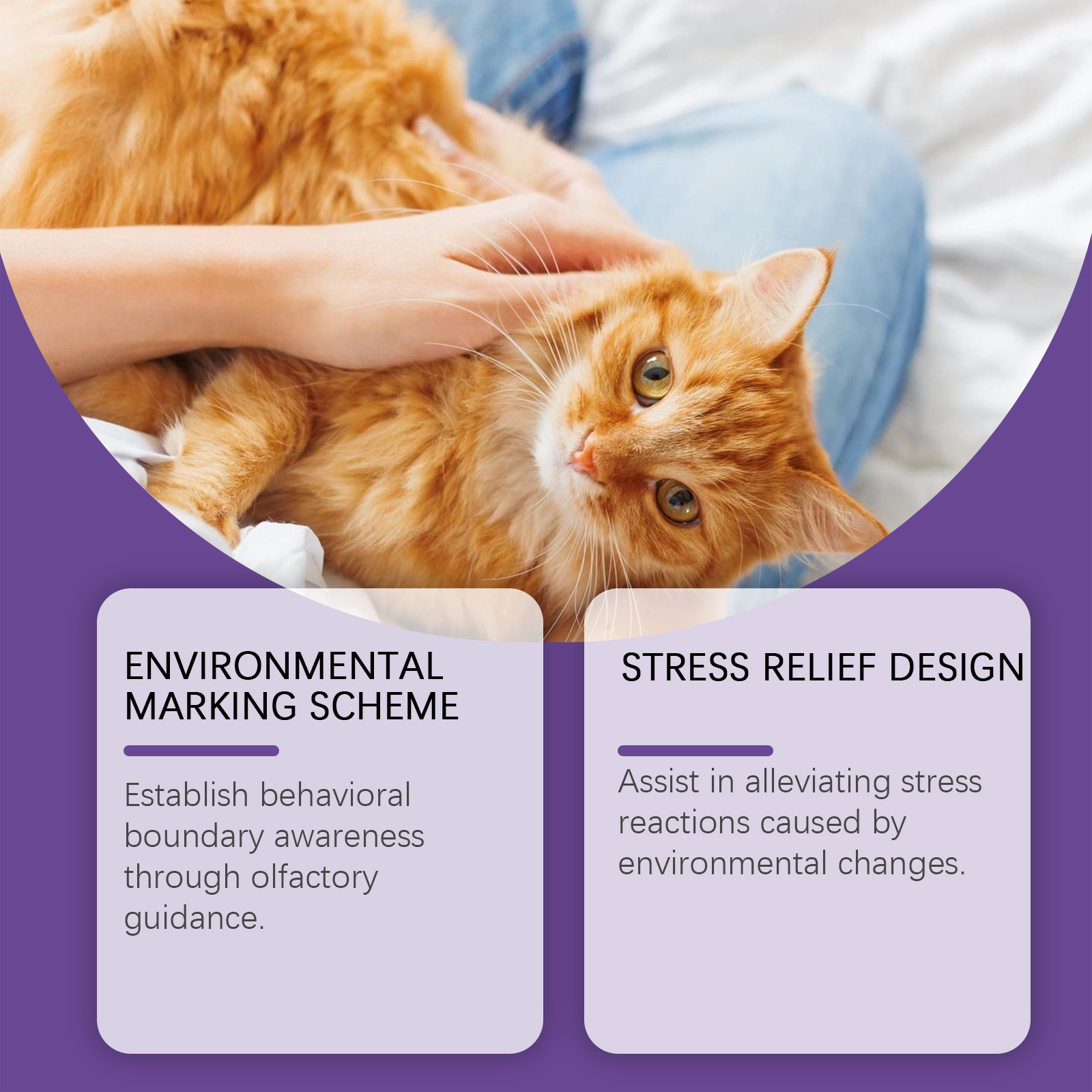 Spray Calmante para Gatos de 60 ML - Alivio Natural contra Ansiedad y Comportamientos Indeseables — imagen 6