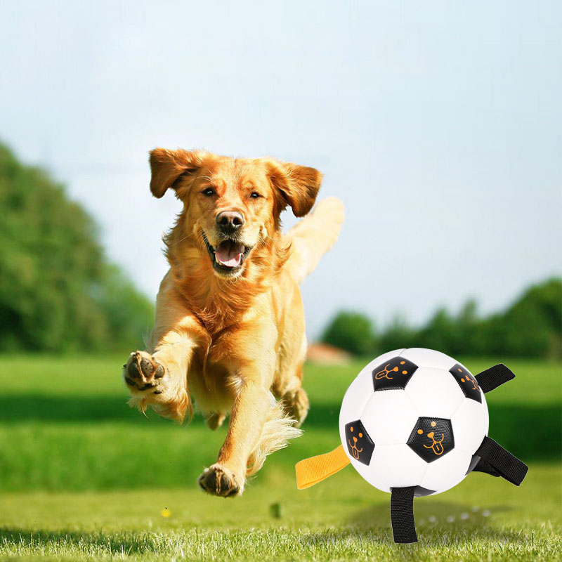 Pet Ball Toy Outdoor Interactive Football Dog Training Ball Multifunctional Rope Biting Dog Ball Dog Toy — image 3