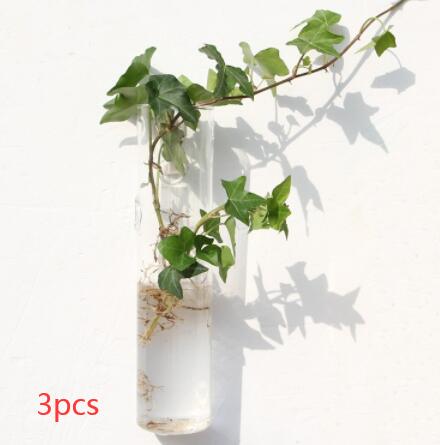 Vaso de Vidrio para Terrario Decorativo en Línea - Jardín Acuático para Hogar — imagen 63
