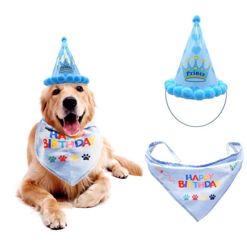 Sombreros de Fiesta para Mascotas - Trajes de Cumpleaños con Cinta Adhesiva — imagen 3