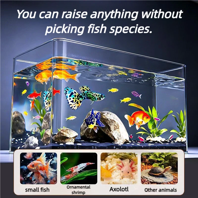 Tanque de Peces en Materiales PET de Alta Transparencia en Varios Tamaños Ideales para Pececitos, Goldfish y Tortugas para Hogar y Oficina — imagen 1
