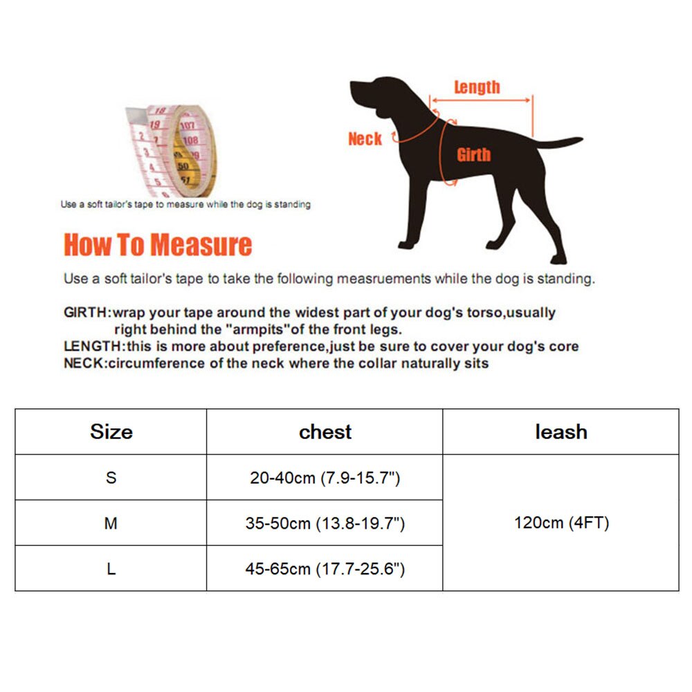 Cute Dog Cat Harness and Leash Set Nylon Mesh Pet Puppy Harness Lead Cat Collar Clothes Vest for Small Cats Kitten Pet Supplies — image 5