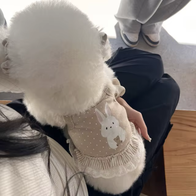 Ins Cute Pet Dress Thin Breathable Tank Top Teddy Cat Top Dog Clothes for Small Dogs Puppy Clothes — image 4
