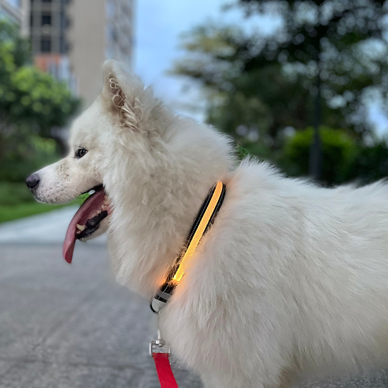 LED Pet Luminous Cat And Dog Collar USB Charging Phone APP Application Control — image 3