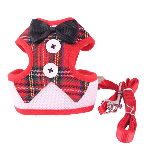 Vestido de Cuerda para Perros Tipo Teddy con Correa y Cinturón de Pecho para Canes de Tamaño Pequeño a Mediano — imagen 3