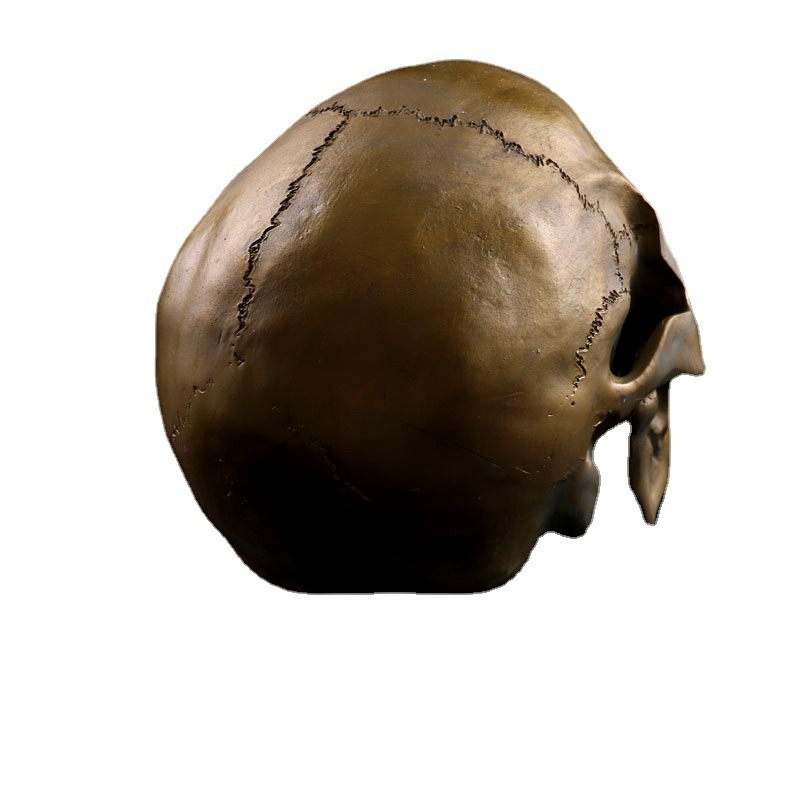 Resin Skeleton Home Decoration Antique Bronze Animal Skull — image 4