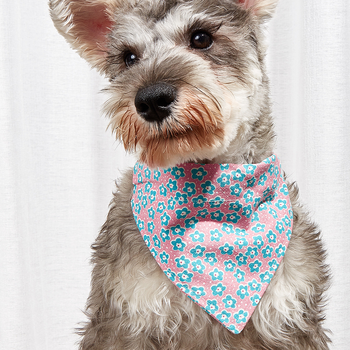 Pet Supplies Pet Saliva Towel Cartoon Pet Dog Collar Cat Triangle Towel Collar Pet Triangle Towel — image 8