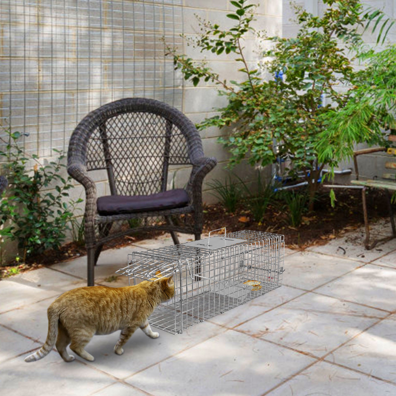 Humane Cat Trap Cage Catch Release Live Animal Rodent Cage Collapsible Galvanized Wire For Small Raccoons Beavers Groundhogs Foxes Armadillos — image 7