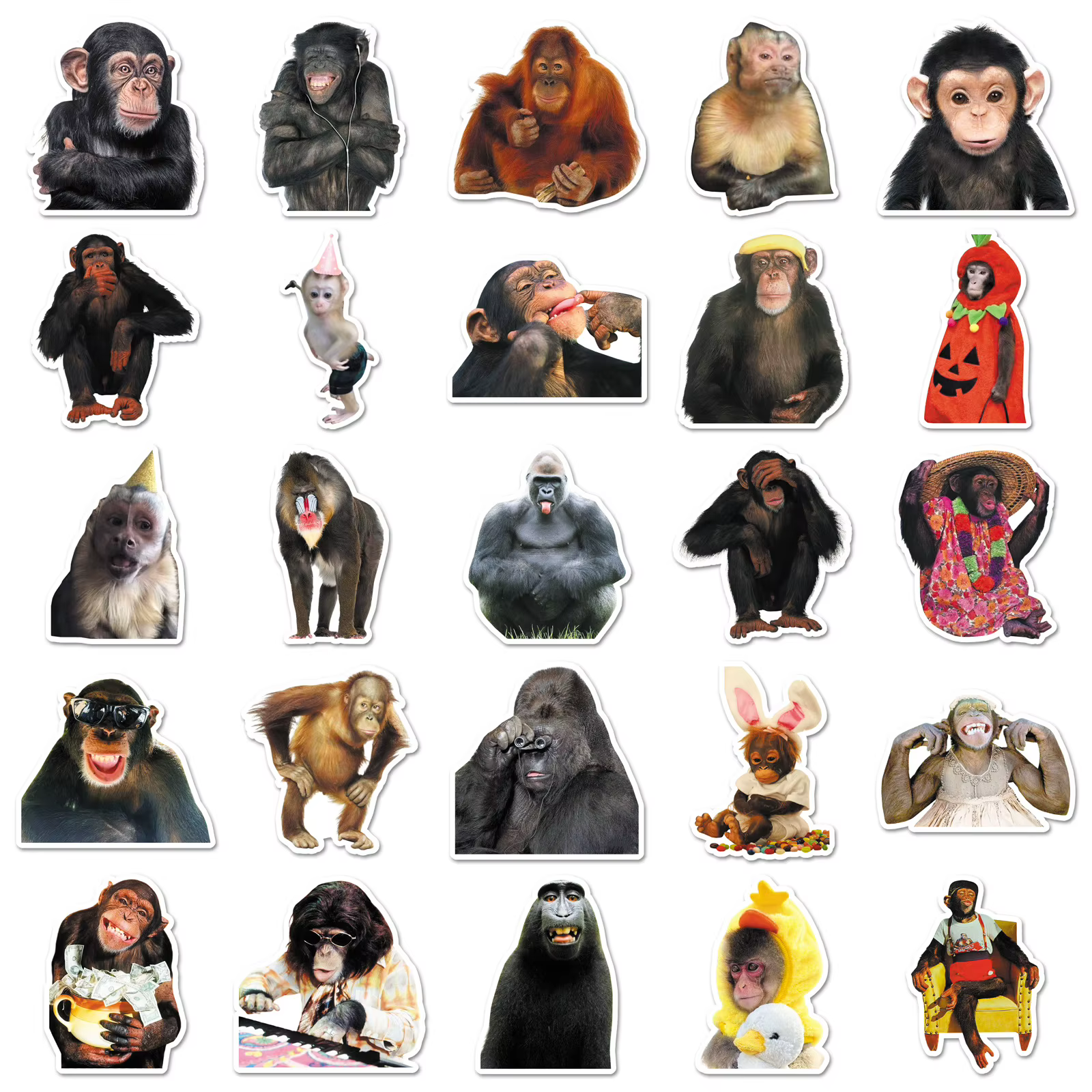 50PCS Funny Monkey Chimpanzees Meme Stickers Realistic Graffiti Decoration DIY Notebook Suitcase Guitar Refrigerator Toys Decals — image 6