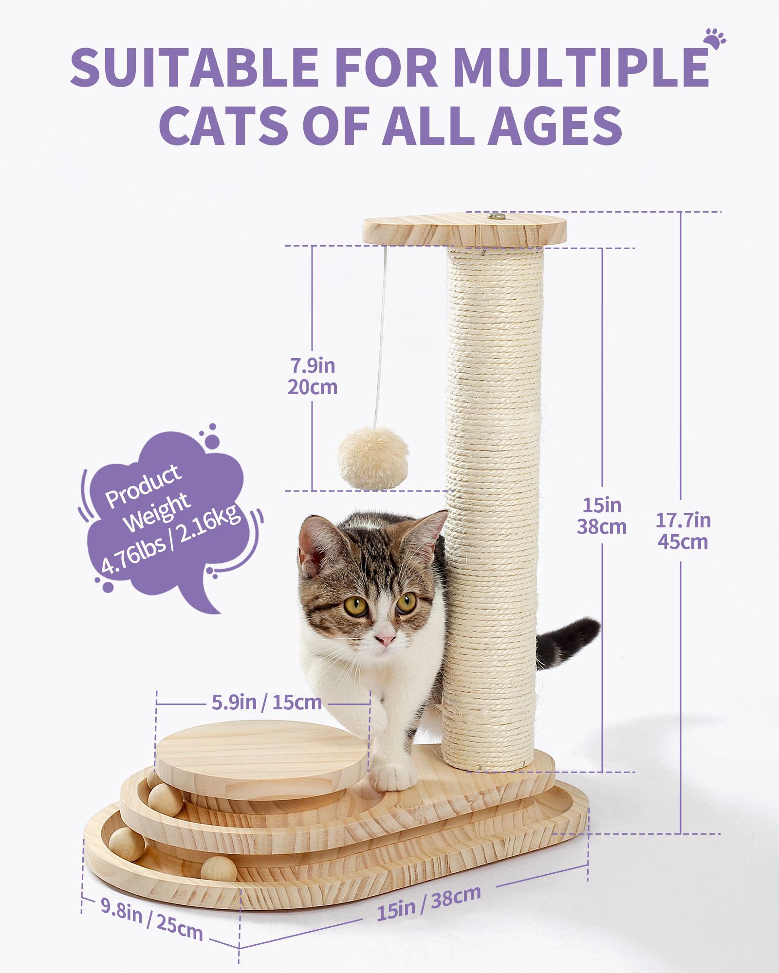 Indoor Cat Soft Scratching Board And Interactive Ball Track Toy Cat Rest And Grooming Supplies — image 10
