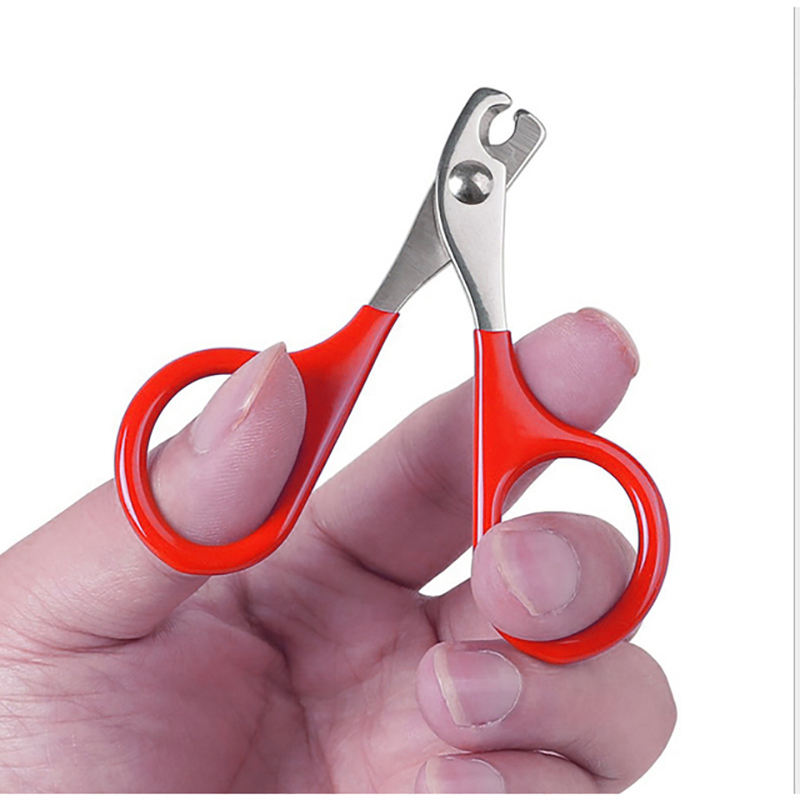 Stainless Steel Pet Scissors Cat Scissors Pet Pliers — image 2