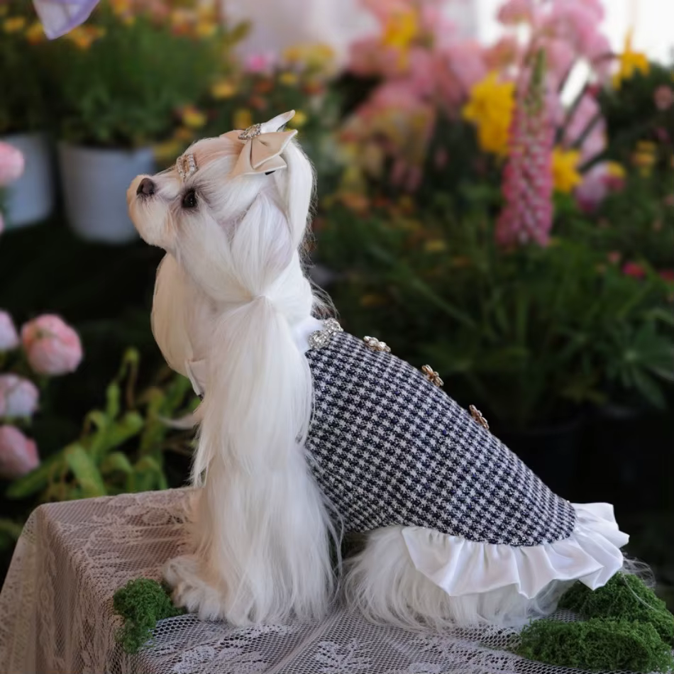 Cat Dress Puppy Pet Apparel Small Dog Clothes Winter Chihuahua Yorkie Pomeranian Yorkshire Terrier Shih Tzu Maltese Dog Clothing — image 3