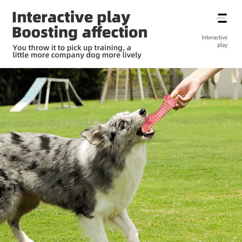 Natural Rubber Dog Teething Stick Bite Resistant Pet Trainer Pet Educational Toys Teething Stick — image 3