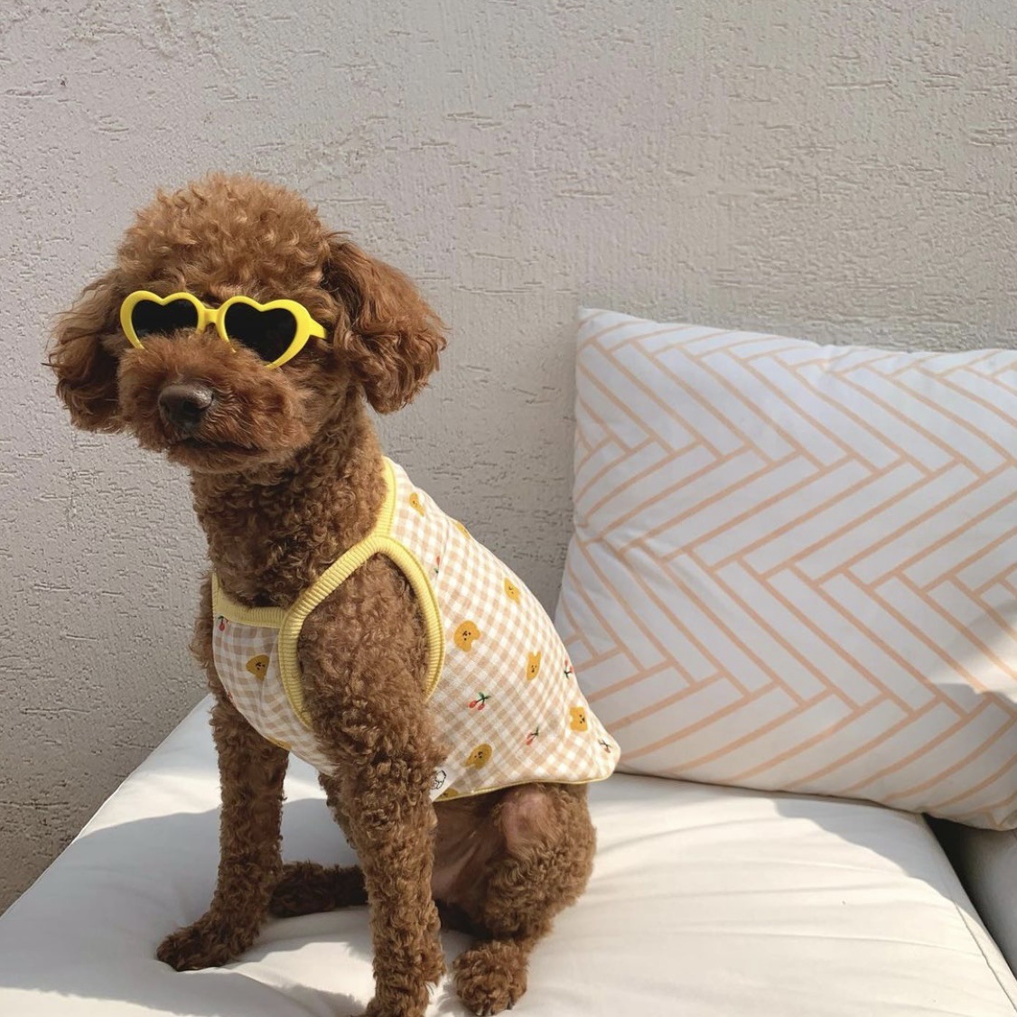 Creative Love Pet Dog Cat Creative Sunglasses Sun Glasses with Accessories Photo — image 3