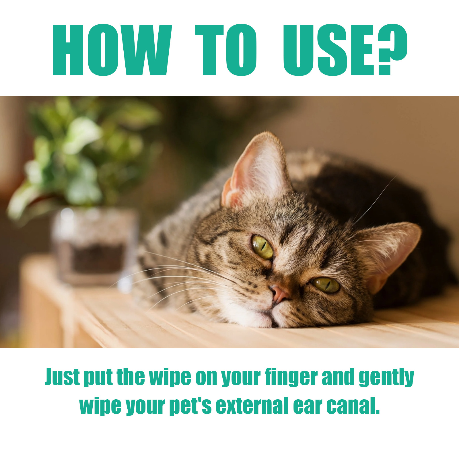 Pet Ear Cleaner Finger Wipes, Gently Clean Pet Ear Mites Ear Dirt Eye Dirt Feet Deodorize To Remove Odor — image 8