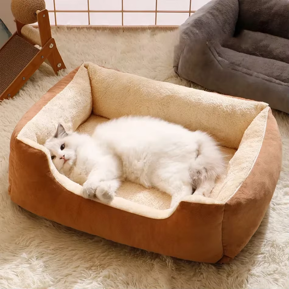 Bed for Cats Pet Products Cushions Kitten Goods Accessories Dog All Houses Supplies Things Accessory Habitats Basket House Beds — image 4
