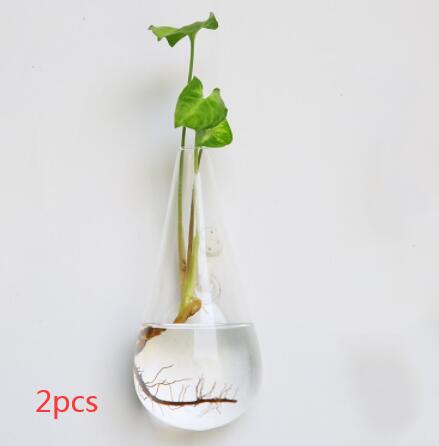Vaso de Vidrio para Terrario Decorativo en Línea - Jardín Acuático para Hogar
