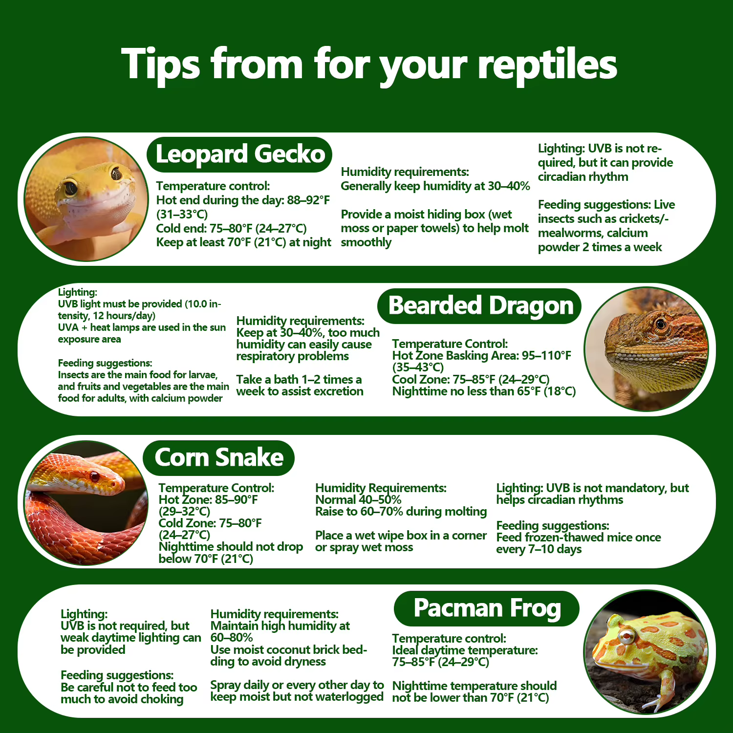 Termómetro y Higrómetro para Reptiles – Medidor Digital Preciso de Temperatura y Humedad con Pantalla LCD para Accesorios de Tanque de Dragones Barbudos — imagen 5