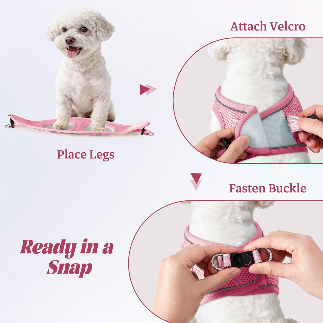Cinturón y Correa Reflejos para Perros Pequeños - Vestido de Redes Ligeras — imagen 5