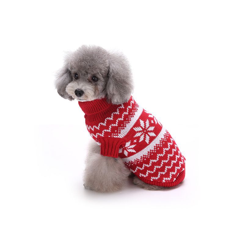 Ropa de Invierno para Mascotas con Olas de Nieve - Chaqueta de Oso para Perros Calientes — imagen 1