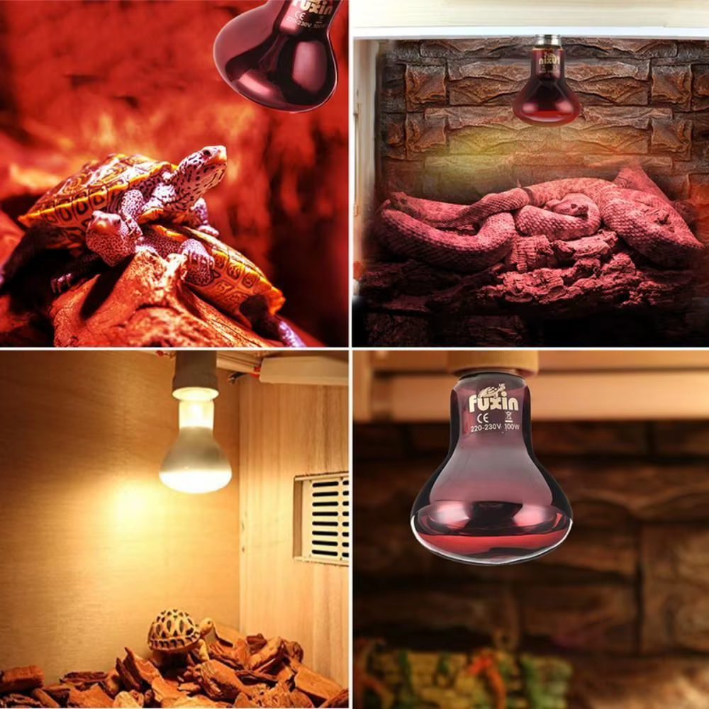 Night Light UVA Led Pet Heating Lamp Adjustable 4 Kinds UVA Day Night Bulb 220-230V Infrared Reptile Heat Bulb Snake — image 5