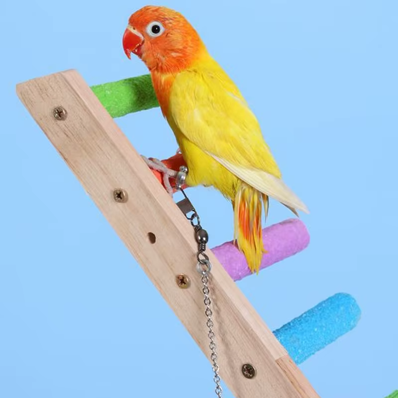 Escalera para Trepar de 4/6/8 Escalones para Aves, Juguete Escalera para Loros, Juguetes Interactivos y Divertidos para Trepar, Estante de Ejercicio de Madera — imagen 6