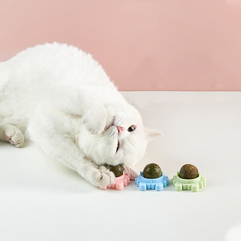 Gato de Cangrejo Juguete Interactivo con Catnip y Dientes Molar Rotativos para Limpiar los Dientes Felices — imagen 3