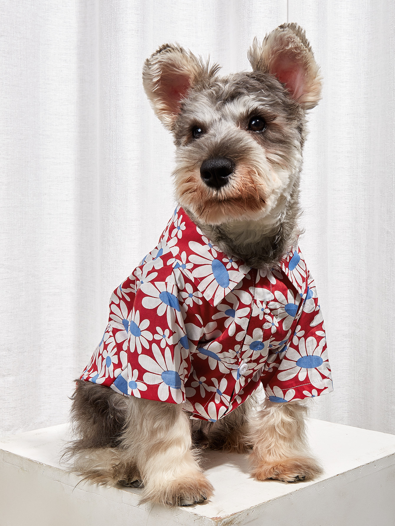 Ropa de Teddy para Perros Pequeños de Verano y Otoño, Sección Delgada para Canes Bichón, Pomerania, Schnauzer y Otros — imagen 3