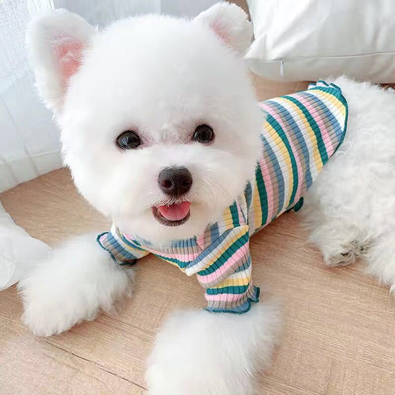 Rainbow Undercoat Dog Clothes Pet Clothes Cat Bears VIP Pomeranian Schnauzer Small Dog Clothes — image 3