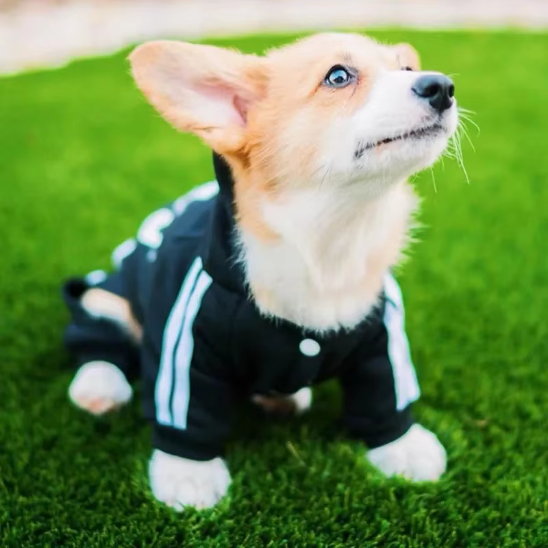 Pet Clothes French Bulldog Puppy Dog Pet Jumpsuit Chihuahua Pug Pets Dogs Clothing for Small Medium Dogs Puppy Outfit — image 2