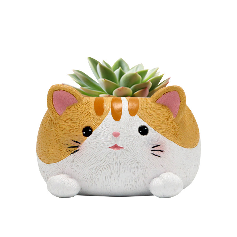 Planta de suculenta para gatos decoración de balcón maceta floral — imagen 3