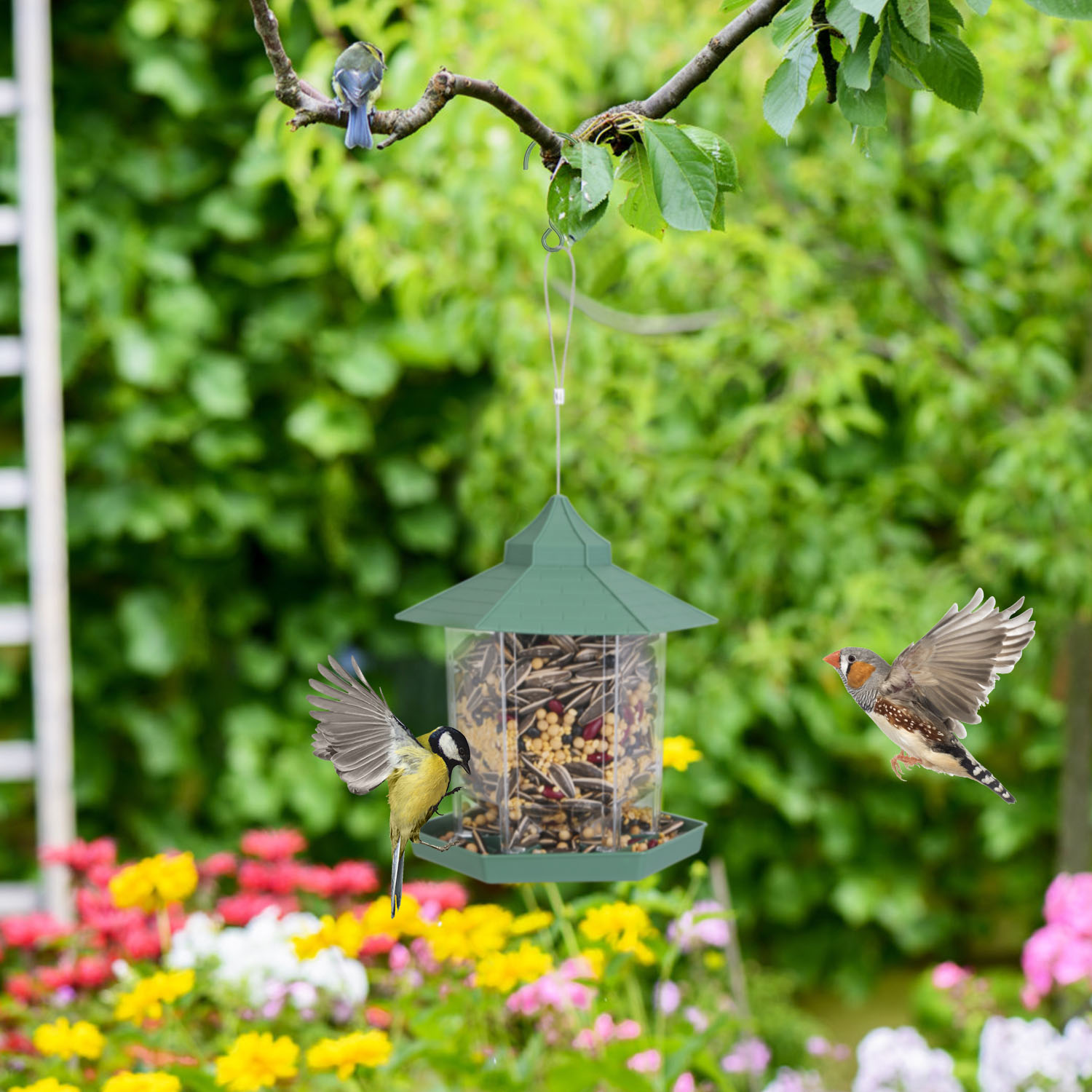 Gazebo para pájaros suspendido con capacidad de alimento amplia, 6 entradas para alimentar y fácil relleno — imagen 3