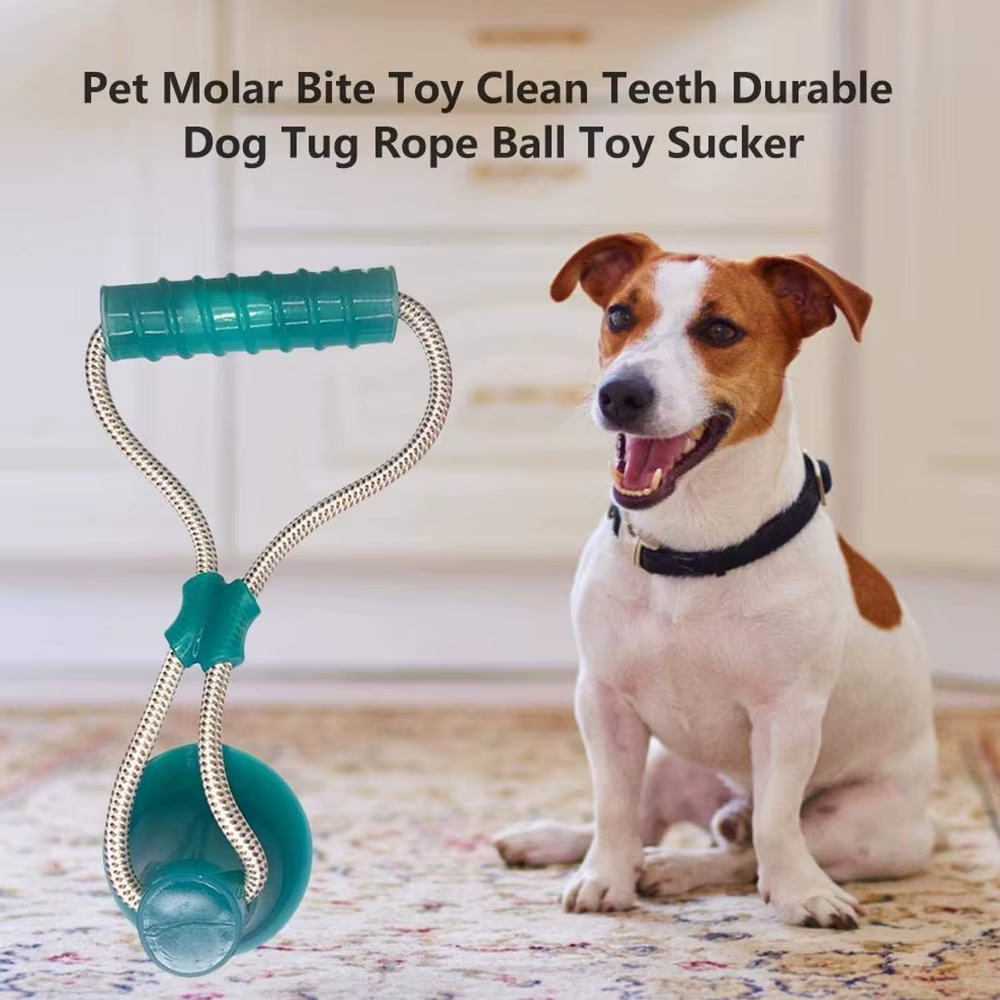 Pet Molar Toy Self-playing Rubber Ball Toy With Suction Cup Dog Interactive Molar Chew Toy Teeth Cleaning Tool — image 2