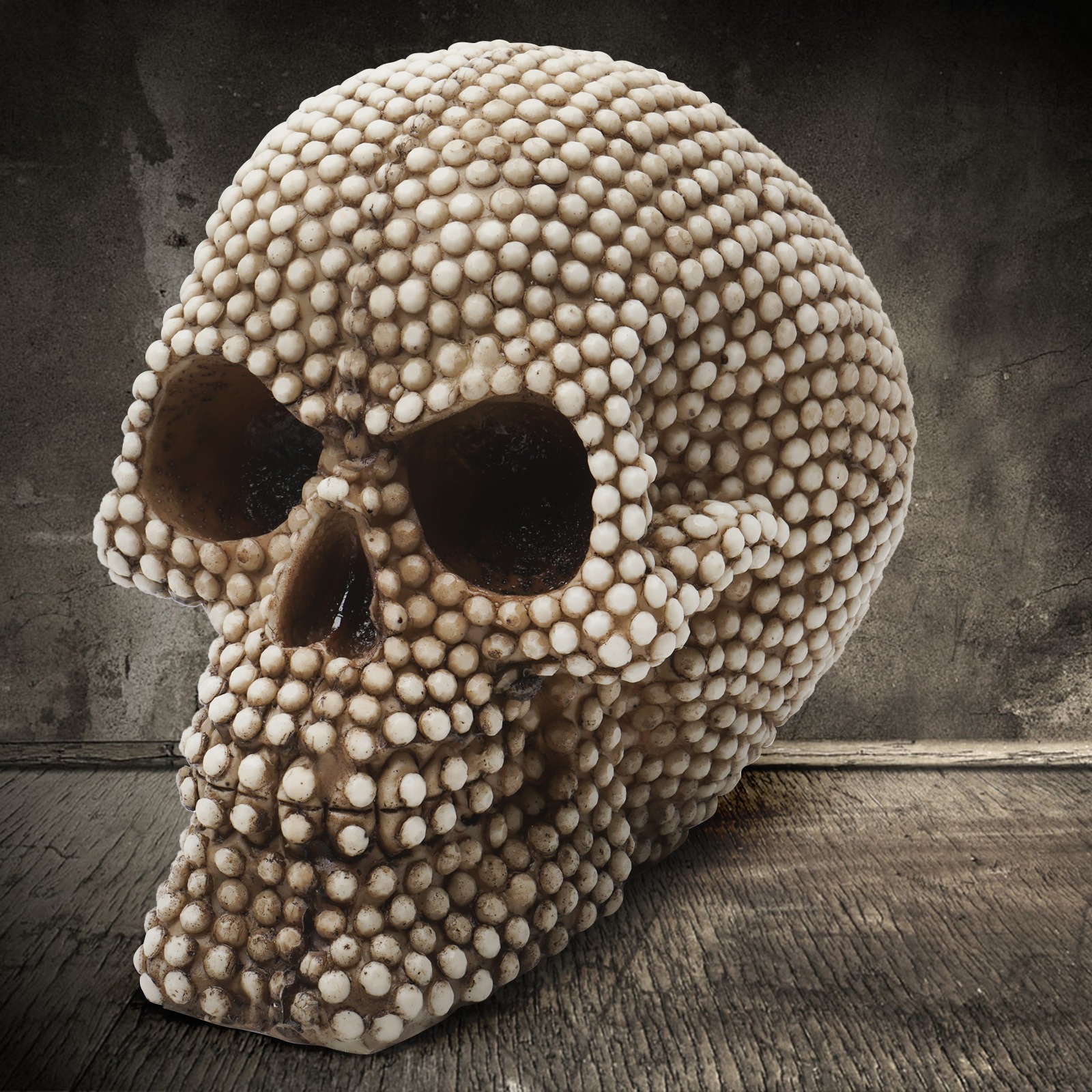 Cabeza de Calavera Cabeza de Calavera Adorno de Cráneo Animal — imagen 6