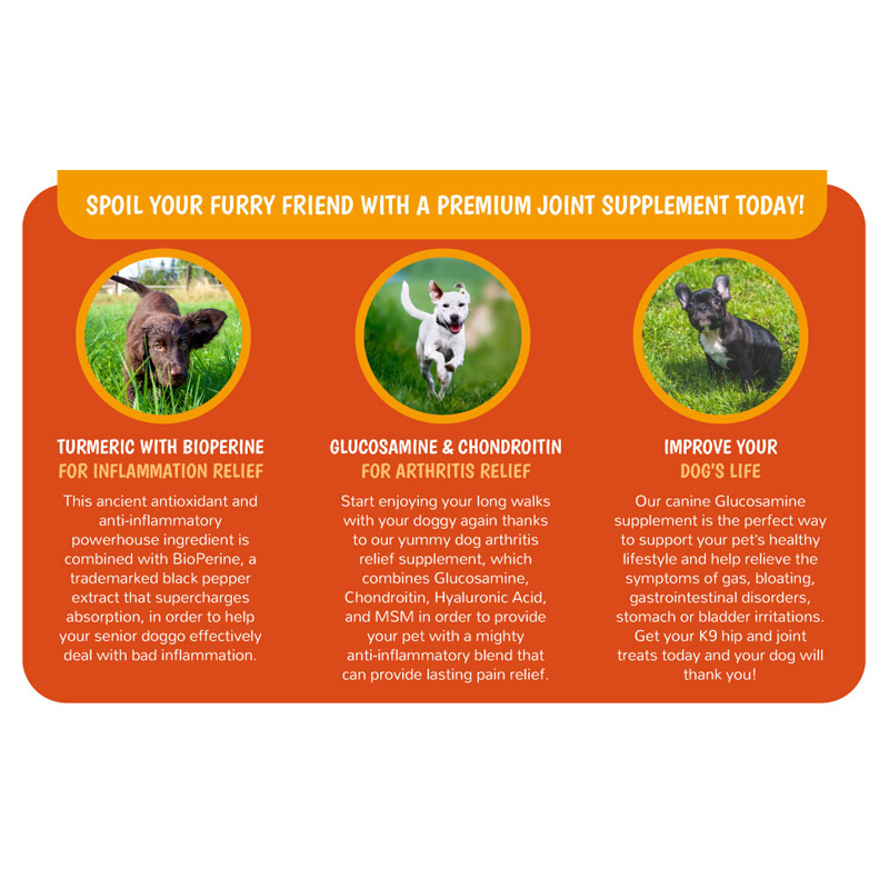 Suplementos Articulares para Perros y Gatos con Glucósamina, Quitina, 10 Vitaminas, Ácido Hialurónico y MSM — imagen 6