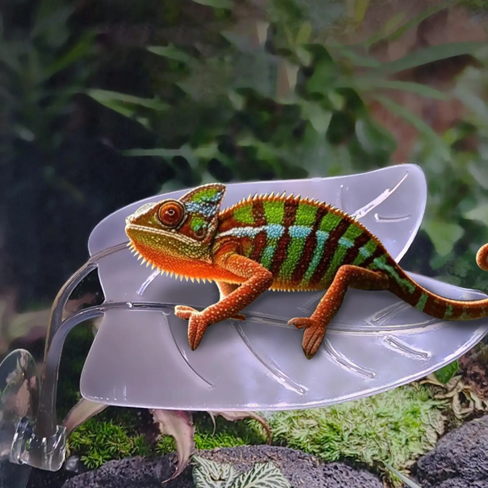 Habitat de Tórtola con Hoja de Planta para Reptiles y Anfibios - Escondite Suspensión para Lagartos y Tortugas — imagen 1