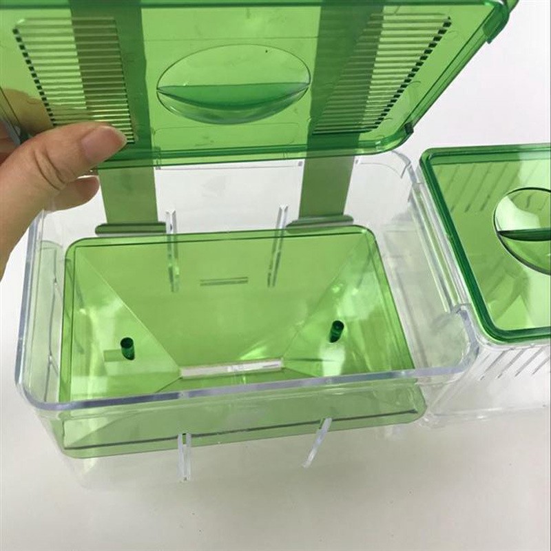 Caja de incubación para peces guppies enfermos o separados por lucha — imagen 3