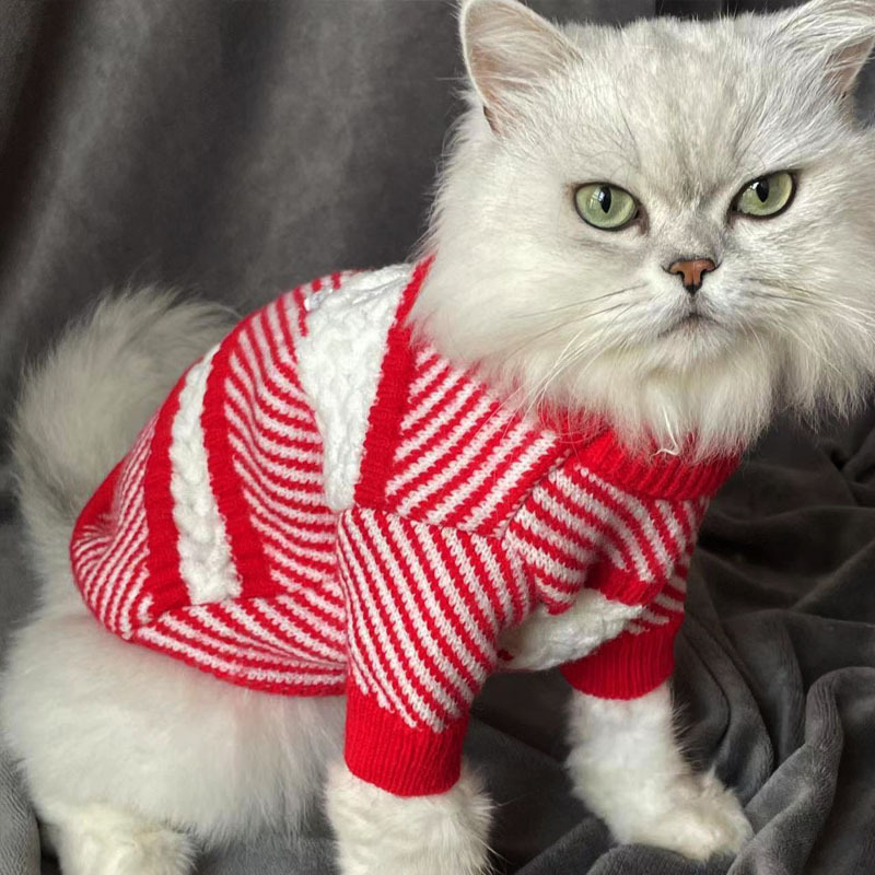 Suéter Nuevo de Otoño e Invierno para Mascotas, Cálido y Acolchado, Ropa para Perros y Gatos, Estilo Bichón/Teddy — imagen 3