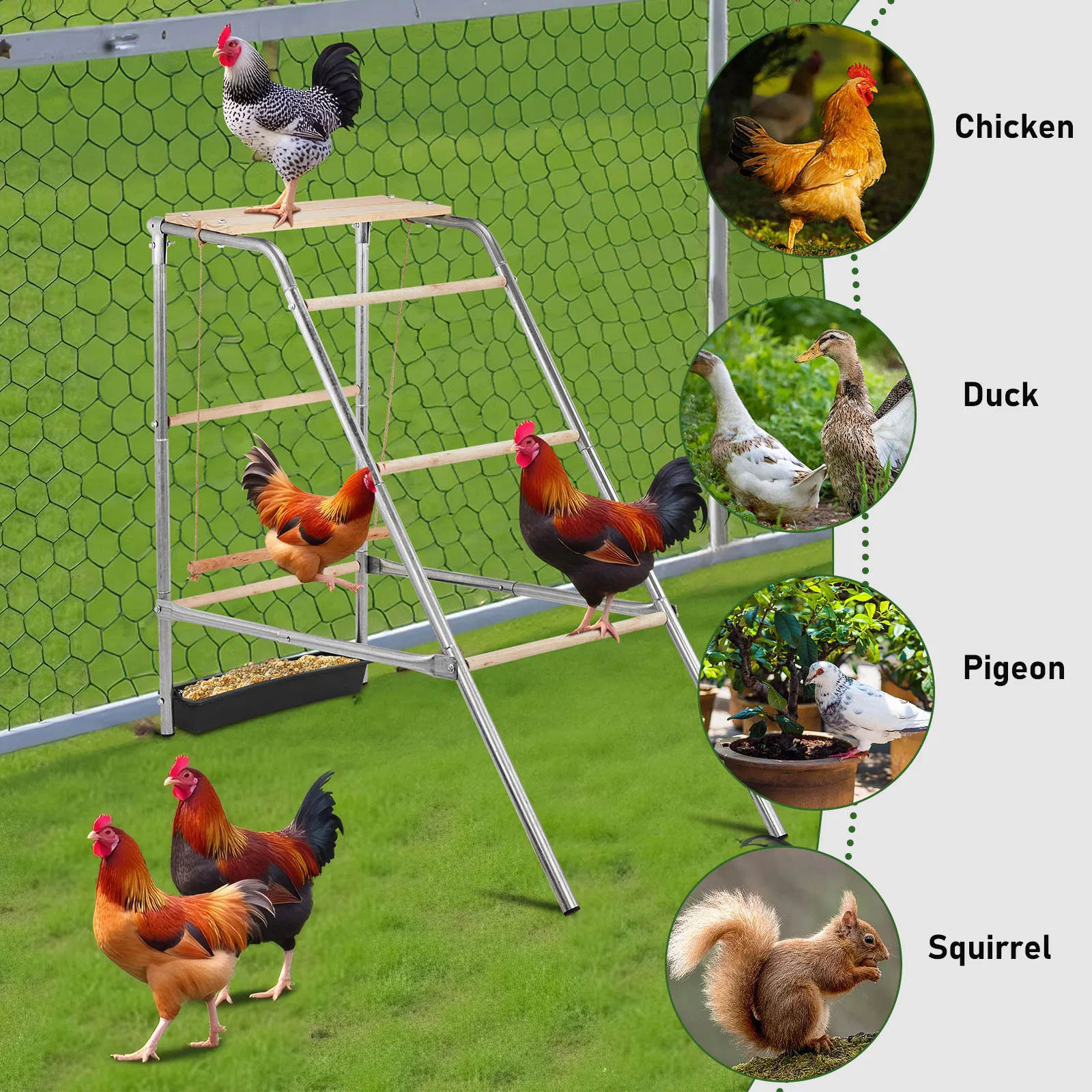 103*50*100cm Outdoor chicken perch — image 6