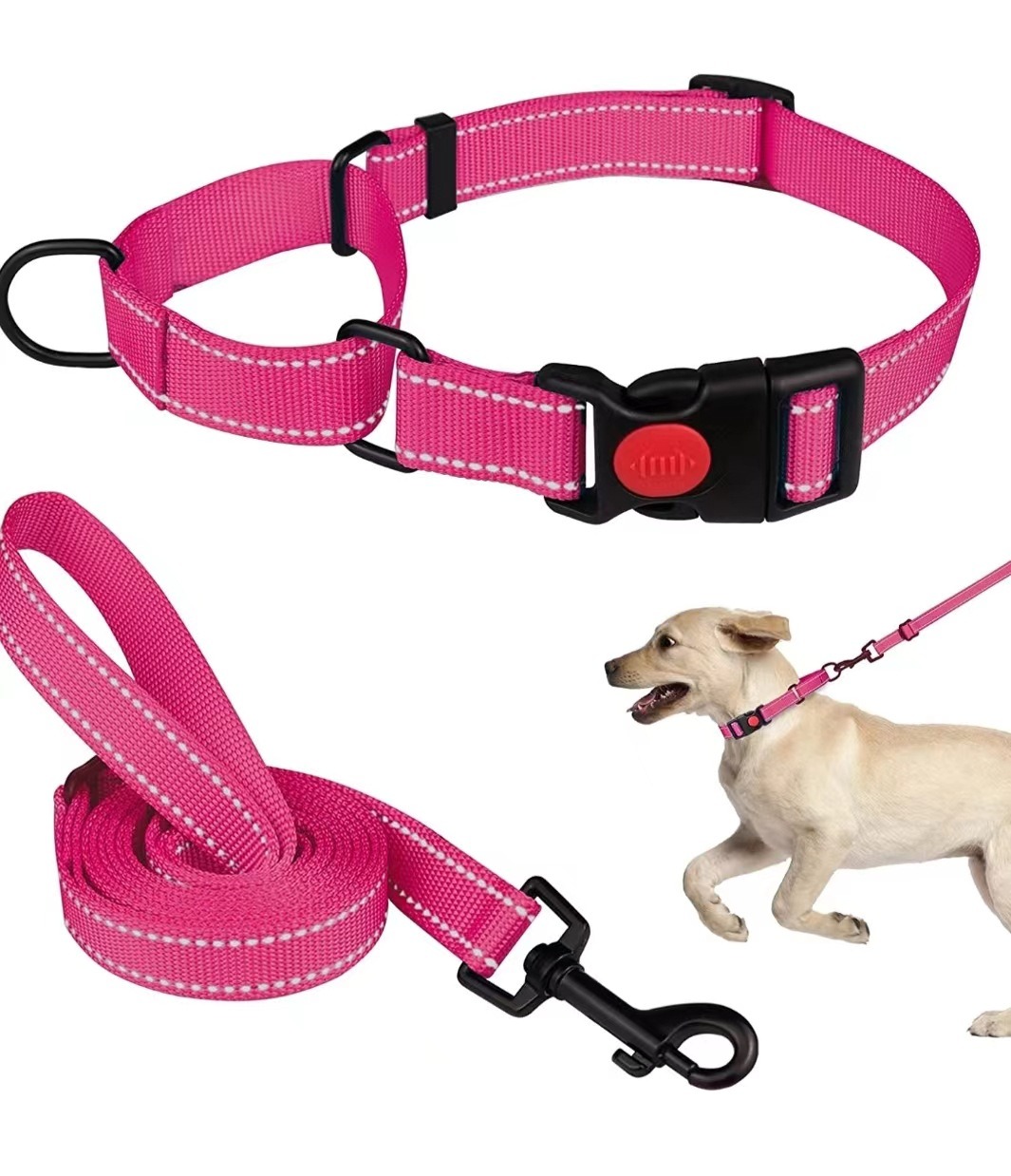 Collar de Perro - Conjunto de Collar y Correa Reflectante con Cuerda de Tensión — imagen 6