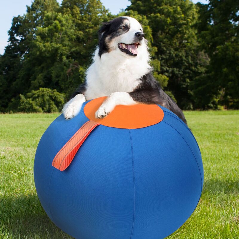 Pelota de Juguete Indestructible para Perros, Juguetes Flotantes Portátiles para Cazar y Jugar al Fútbol en Agua — imagen 3