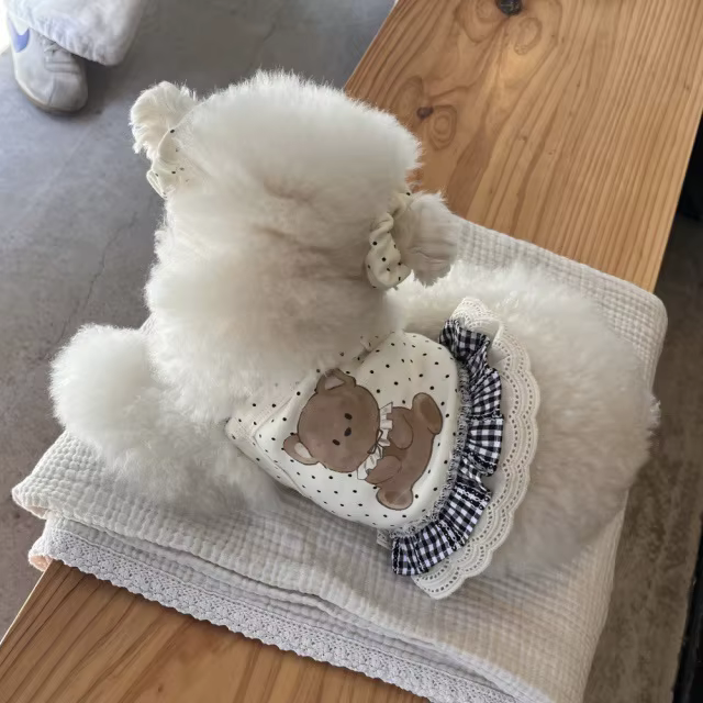 Ins Cute Pet Dress Thin Breathable Tank Top Teddy Cat Top Dog Clothes for Small Dogs Puppy Clothes — image 3