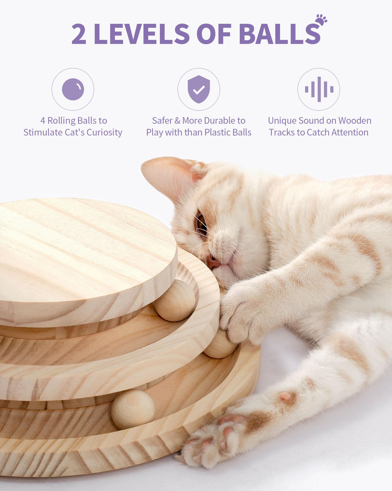 Indoor Cat Soft Scratching Board And Interactive Ball Track Toy Cat Rest And Grooming Supplies — image 6