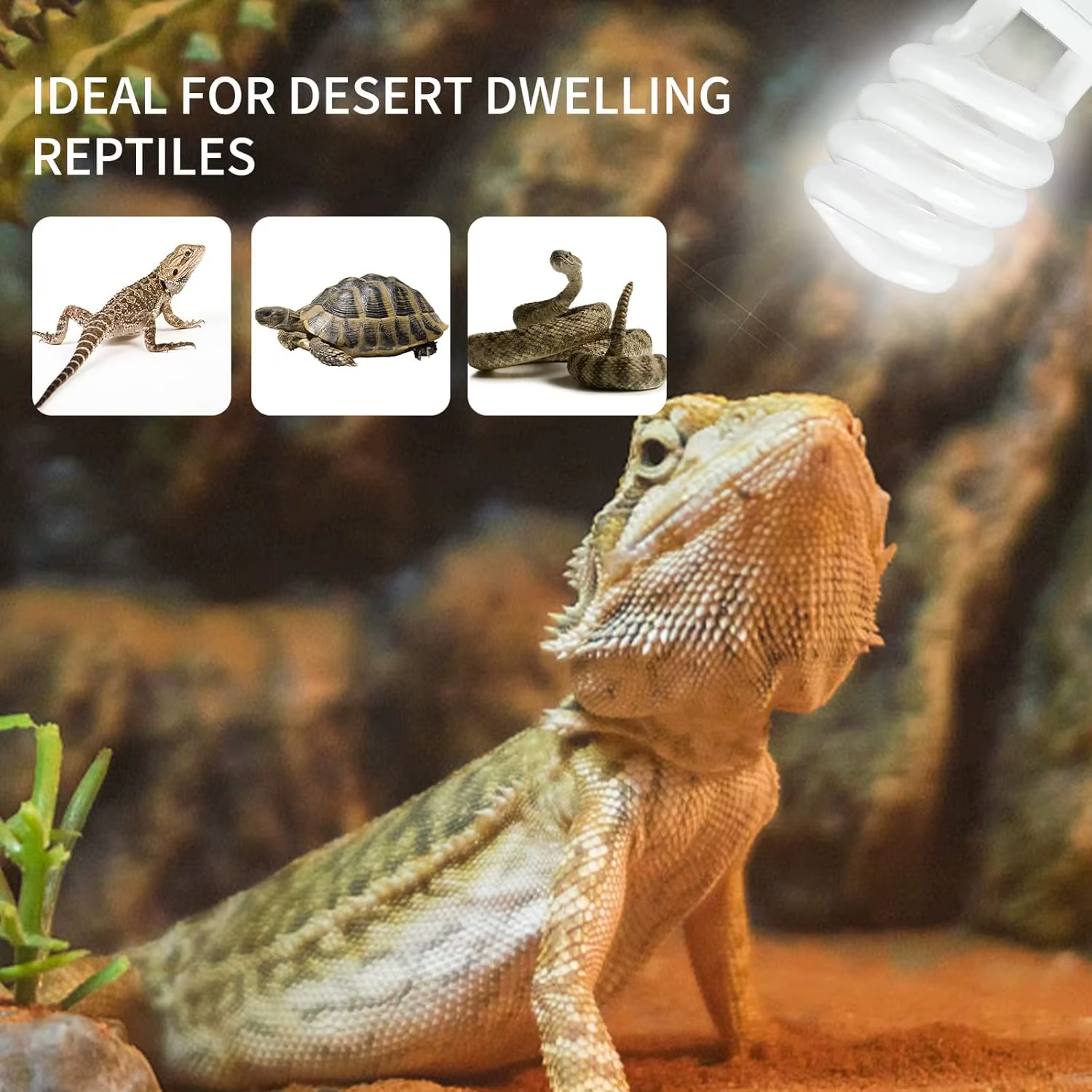 UVB 5.0 10.0 Reptile Heating Lamp 13W /26W UV Energy Saving Bulb Terrarium Basking Reptile Light Turtle Lizard Snake Lamps — image 2