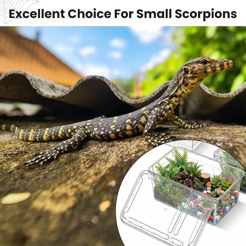Reptile Breeding Box Terrarium Turtle Tank Silkworm Spider Horned Frog Gecko Lizard Snail Cage Portable Habitat Enclosure — image 6
