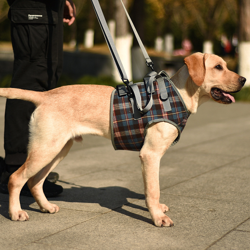 Pet Dog Leg Support Harness for Post-Surgery Recovery, Elderly Dogs, Large Breed Walking Assistance Brace — image 6