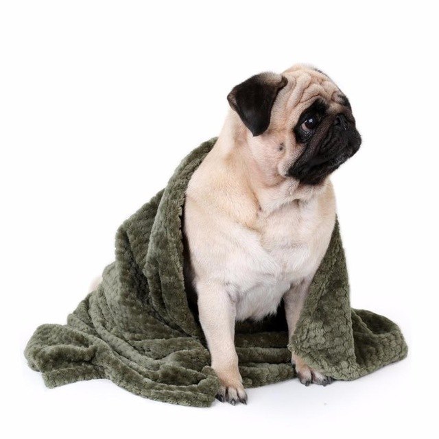 Blanket, Pet, Dog, Warm — image 8