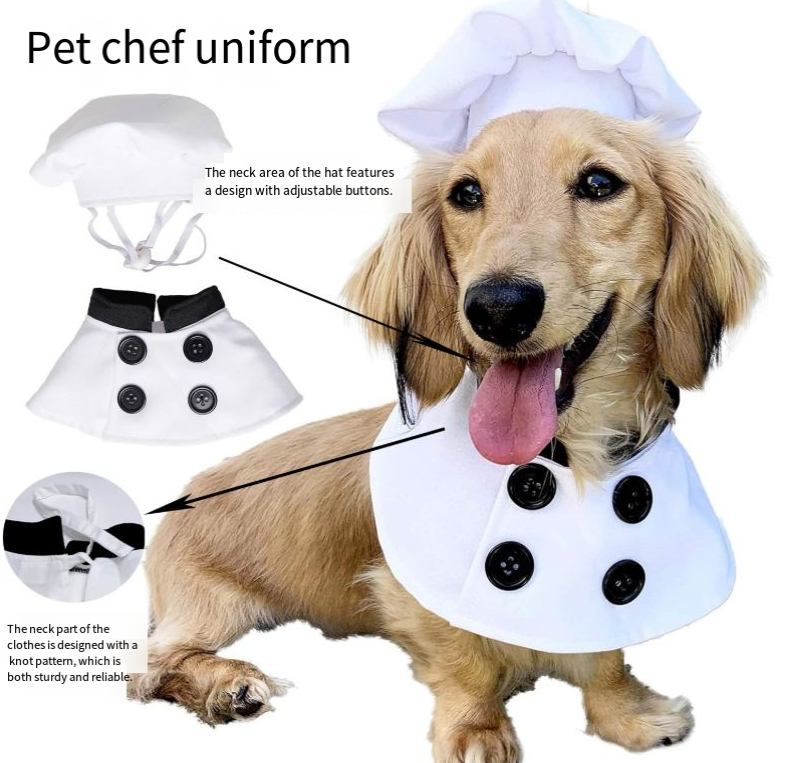 Conjunto de sombrero y ropa para perro chef, disfraz de pato en la puerta, Halloween cosplay — imagen 1