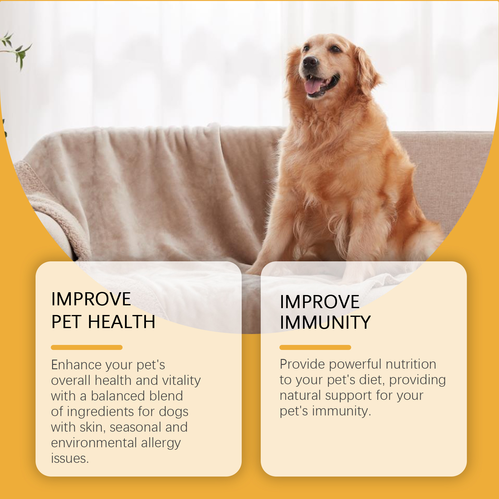 Gotas de Cuidado Corporal para Perros, Alivio y Nutrición para el Bienestar Canino — imagen 5